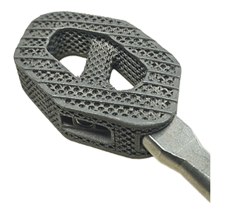 Interbody Fusion Cages - Cervical Implant